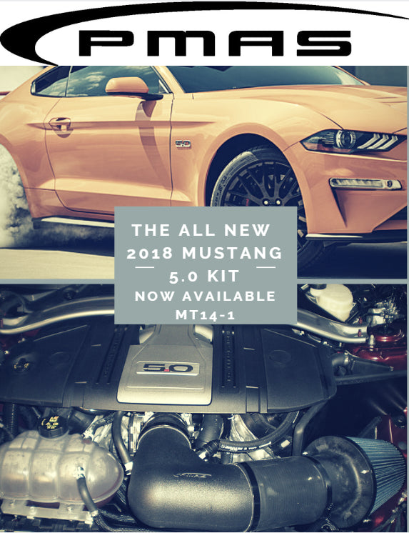 PMAS 2018-22 Mustang 5.0 CAI (tune required)