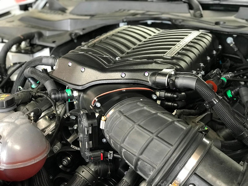 Whipple 2018-23 Mustang GT Bullitt Mach 1 Gen 5 Stage 2 Complete Supercharger System