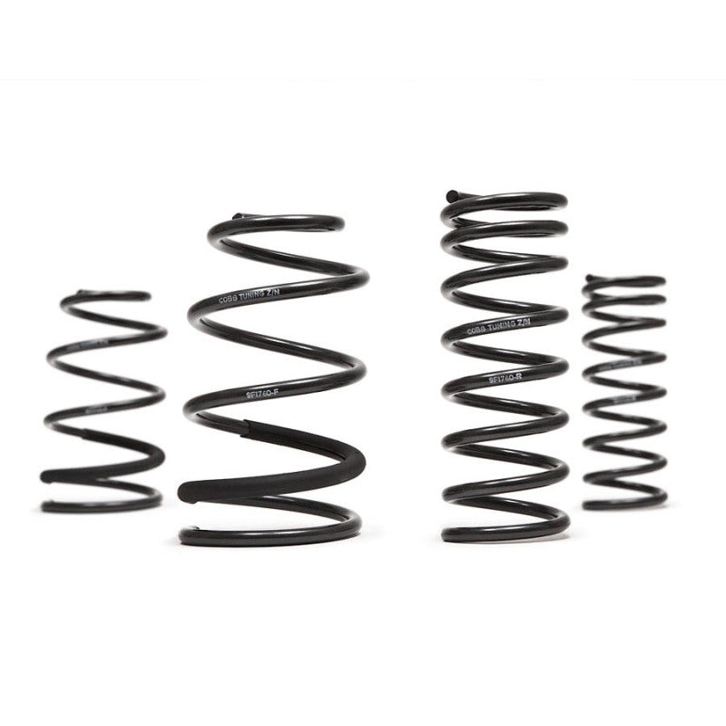 Cobb 2013 Ford Focus ST Sport Springs