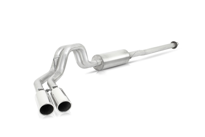 Gibson 15-19 Ford F-150 King Ranch 5.0L 3in/2.5in Cat-Back Dual Sport Exhaust - Aluminized