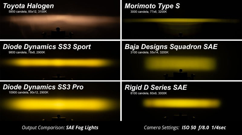 Diode Dynamics 17-20 Ford Raptor SS3 LED Fog Light Kit - White Max
